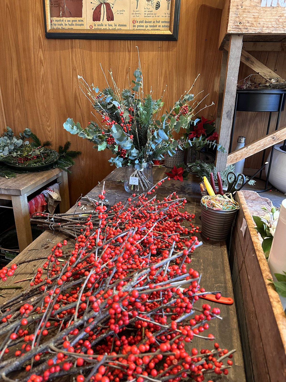 Branches de houx et feuillages préparés pour Noël sur l’établi