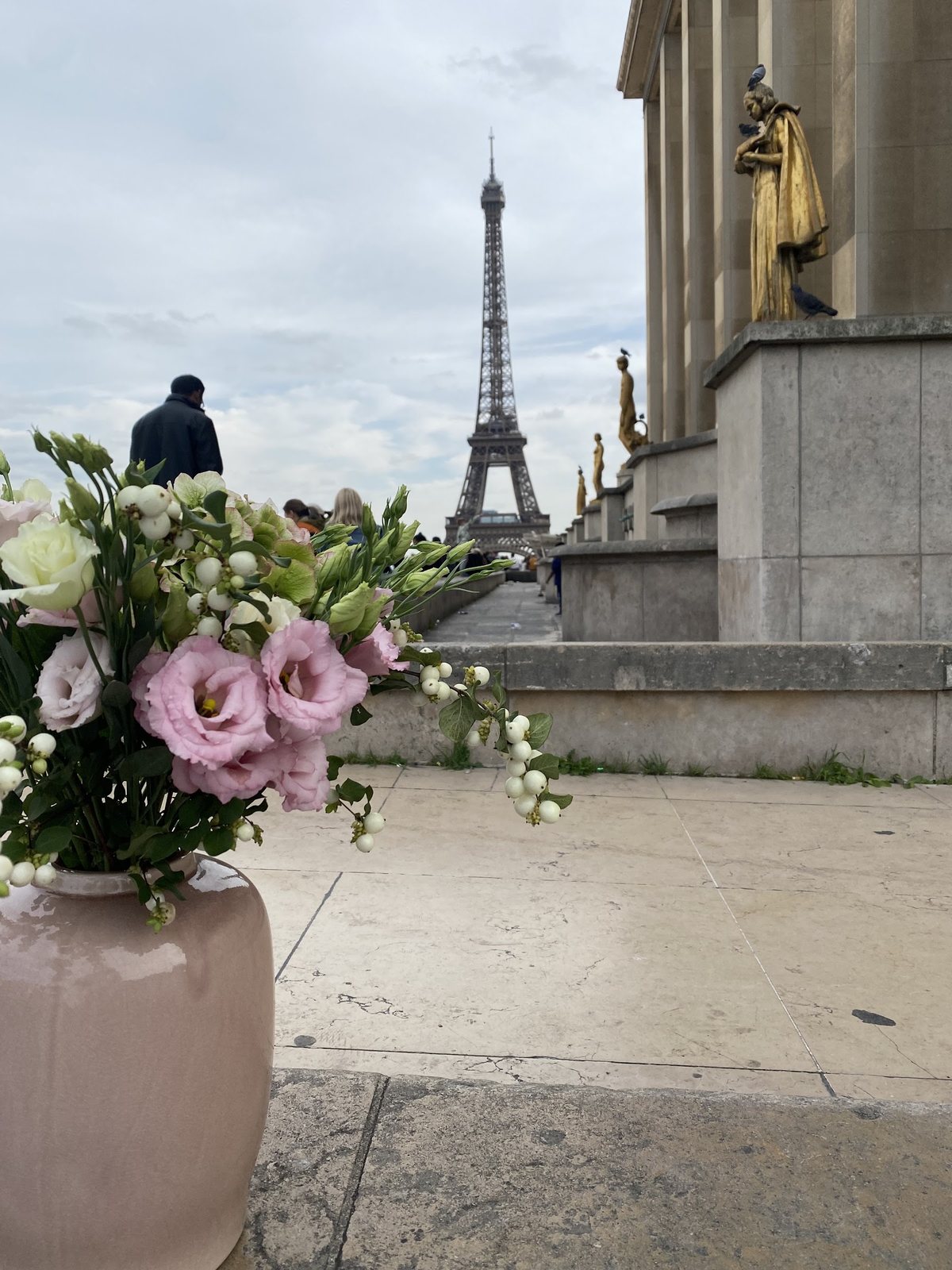 Bouquet de lisianthus roses devant la tour Eiffel
