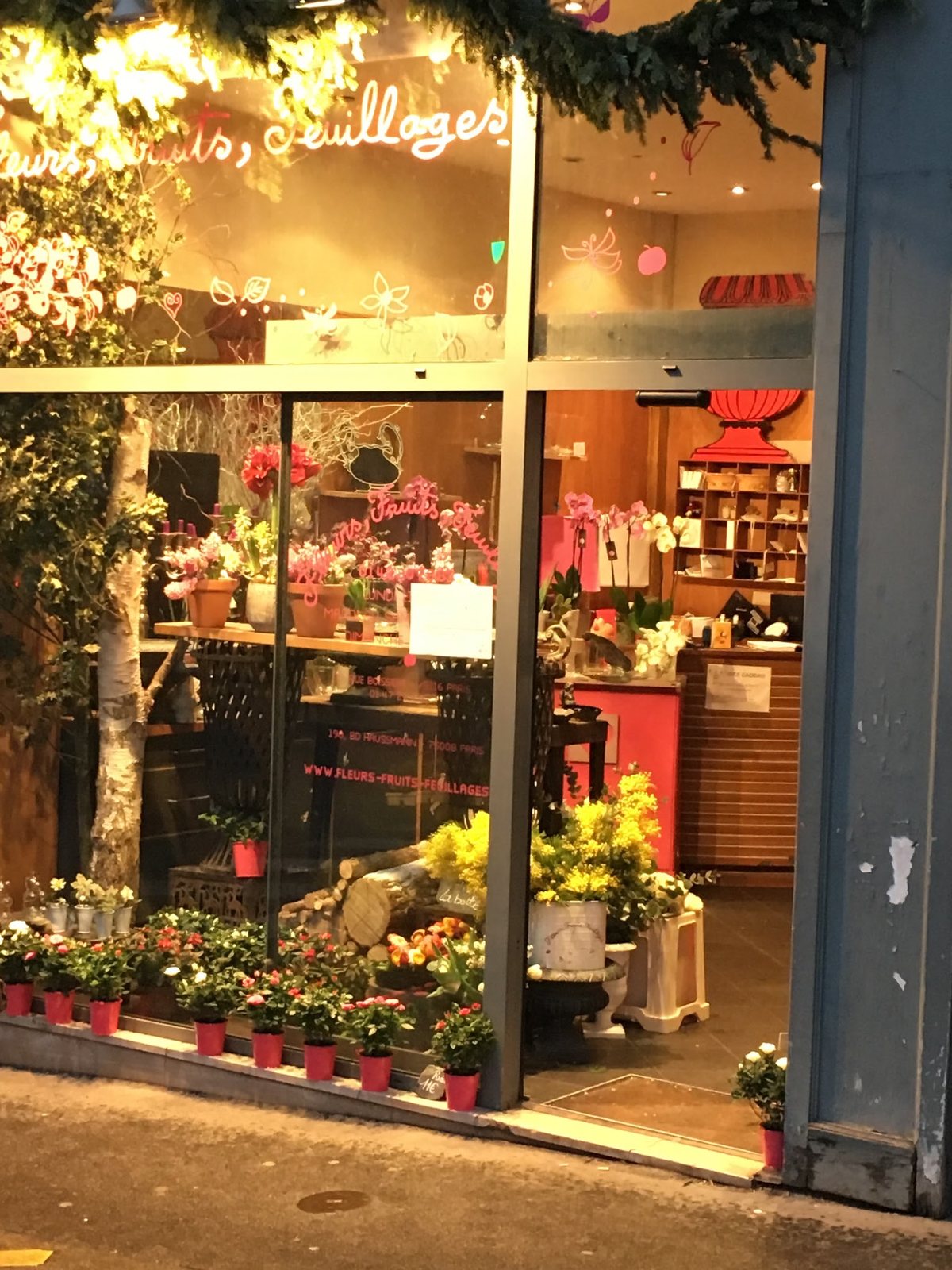 La boutique éclairée, orchidées et plantes fleuries en vitrine