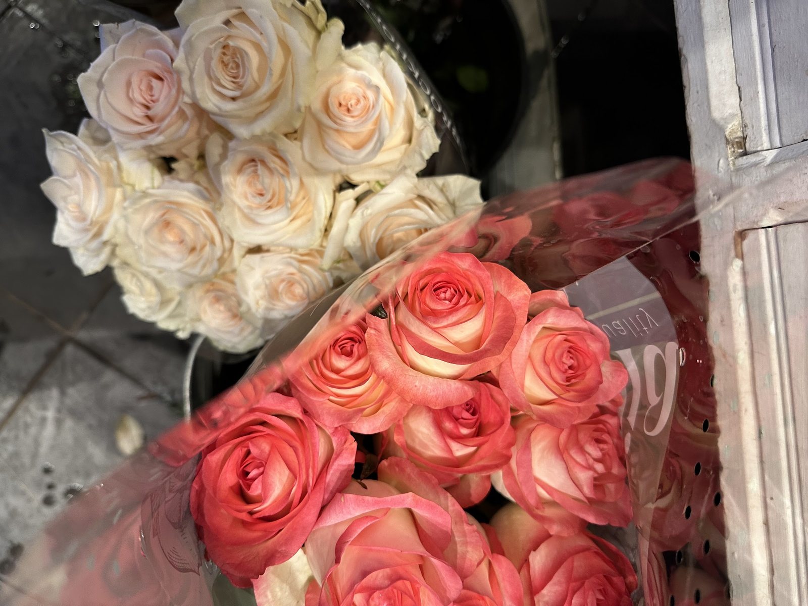 Roses corail et crème