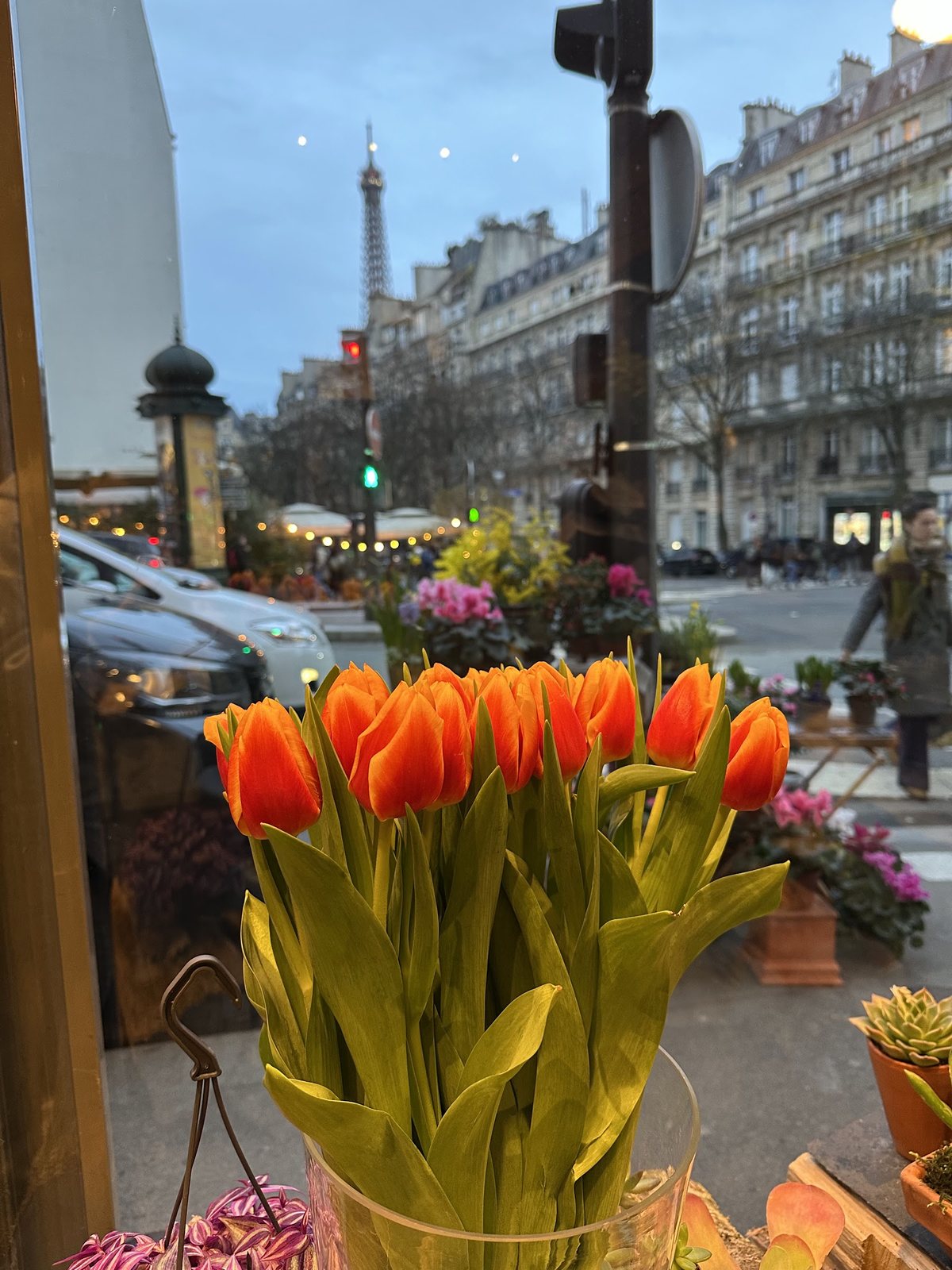 Tulipes orange, tour Eiffel au loin
